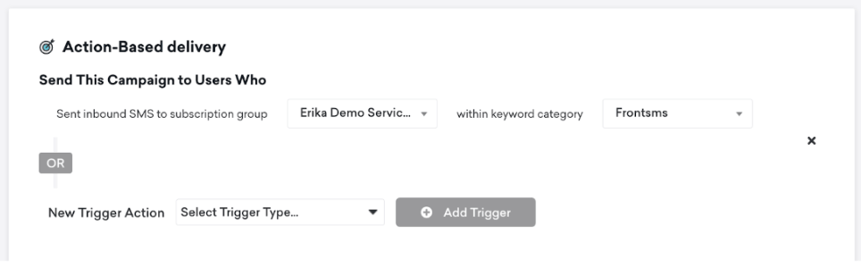 La página "Programar entrega" de la primera campaña webhook.