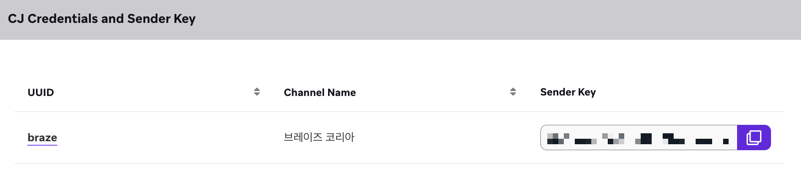 Braze KakaoTalk 채널의 자격 증명.