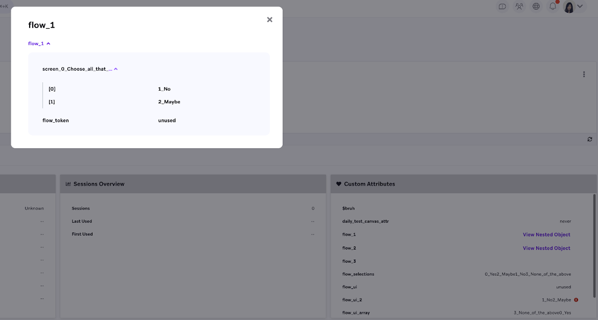 "flow_1" 커스텀 속성의 내용을 표시하는 창입니다.