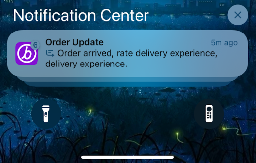Um exemplo de captura de tela de um resumo de prévia de notificação por push.