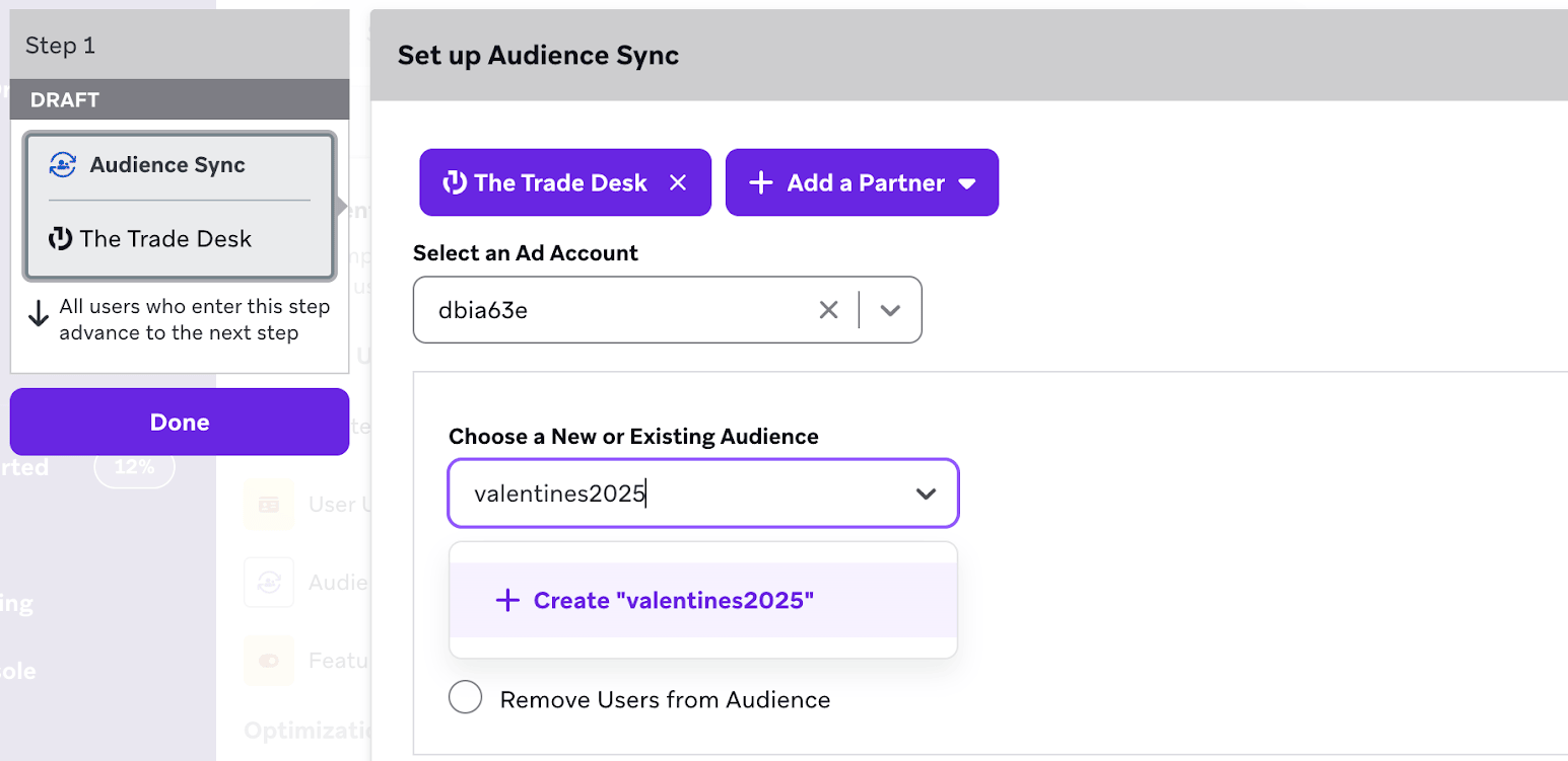 Configuração do Audience Sync com um campo de público contendo o nome "valentines2025".